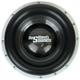 Resilient Sounds Platinum V2 Series 12" Subwoofer