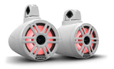 Rockford Fosgate M2WL-8H pair presentation