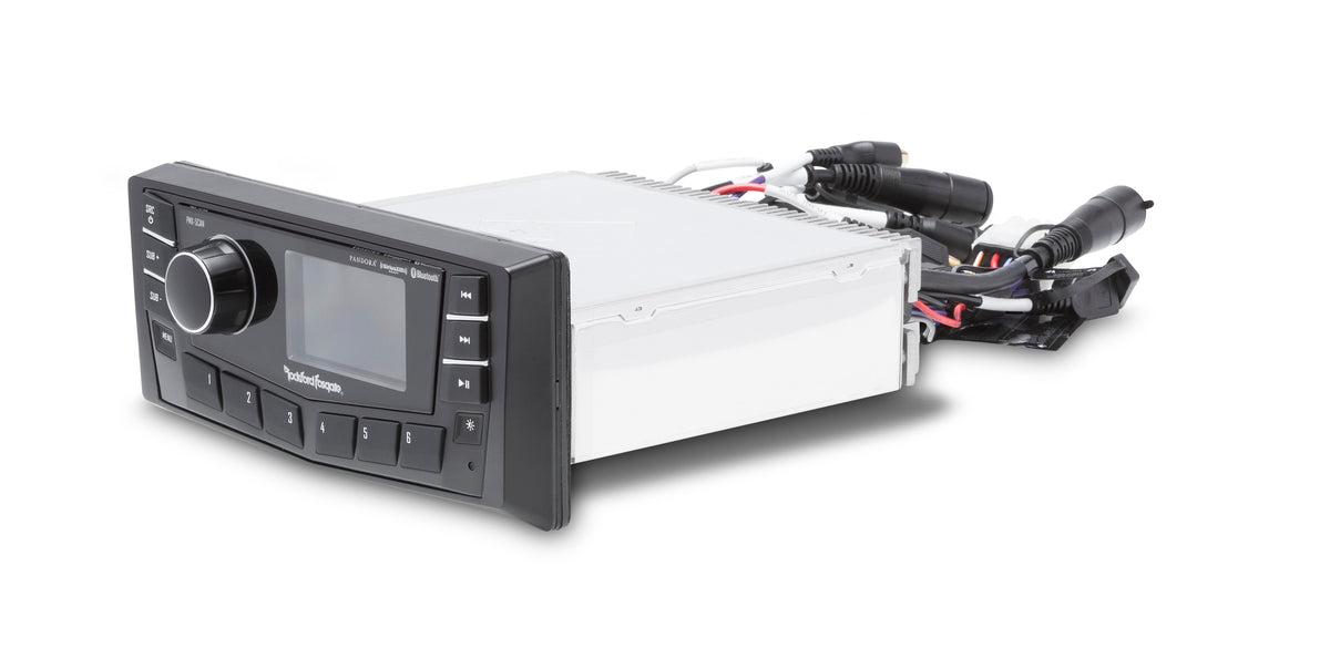 Rockford Fosgate PMX-5CAN angled view