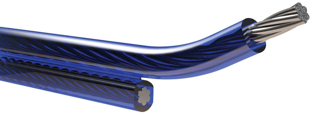 Blue-insulated speaker cable cutaway showing two stranded conductor ends