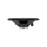 Eye Level View of Speaker