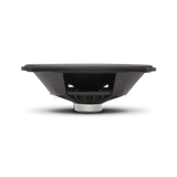 Eye Level View of Speaker