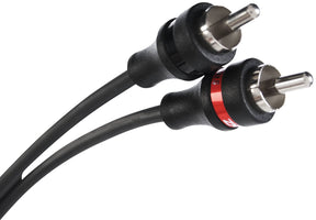 Close-up of two RCA plugs with red and black identification rings on a black interconnect cable
