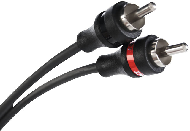 Close-up of two RCA plugs with red and black identification rings on a black interconnect cable
